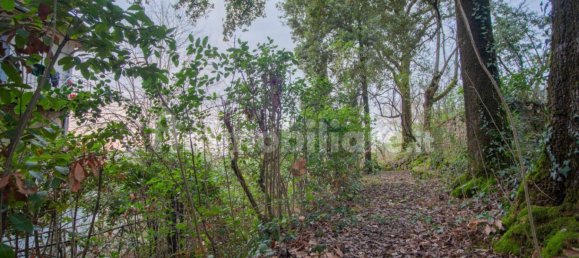 5-Zimmer Gebäude in Siena, Italy, Nr. 149021 9