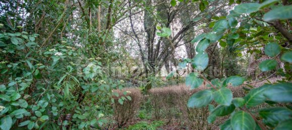 5-Zimmer Gebäude in Siena, Italy, Nr. 149021 13