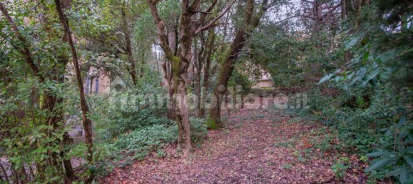 5-Zimmer Gebäude in Siena, Italy, Nr. 149021 14