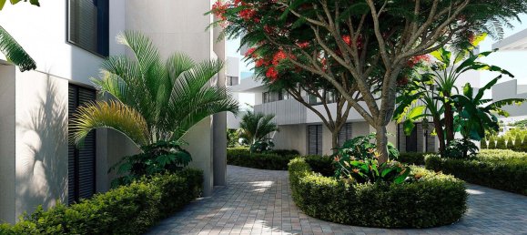 2 bedrooms Apartment in Torre-Pacheco, Spain No. 12552 16