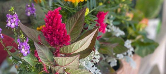 Adosado de 5 habitaciónes en Penzing, Austria No. 224864 4