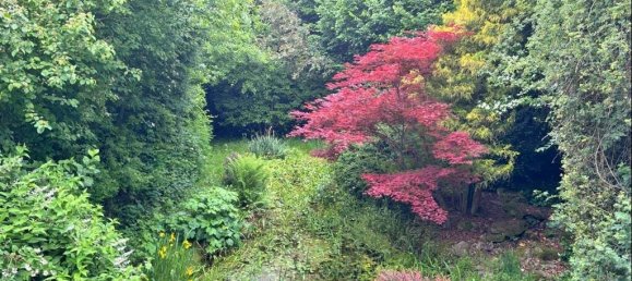 5-salle Maison à Aschaffenburg, Germany No. 276388 2