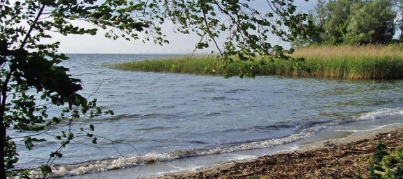 1 bedroom Apartment in Mecklenburgische Seenplatte, Germany No. 143529 21