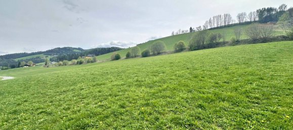  قطعة أرض في Obdach, Austria 925متر مربع رقم 64530 3