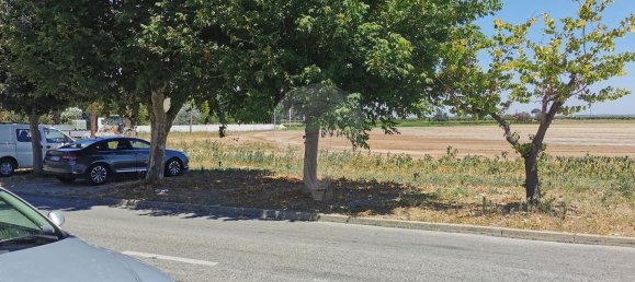 2 bedrooms House in Benfica do Ribatejo, Portugal No. 21286 2