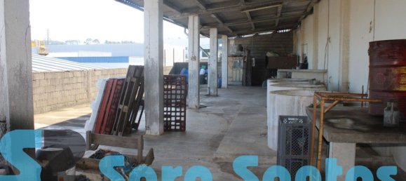 Entrepôt à Lourosa, Portugal 2319m² No. 54012 18