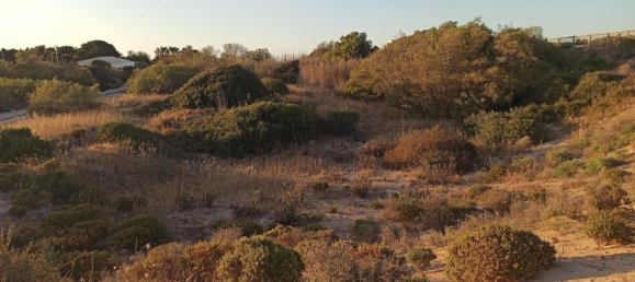  قطعة أرض في Portopalo di Capo Passero, Italy 15500متر مربع رقم 68084 15