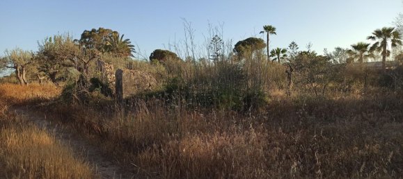  قطعة أرض في Portopalo di Capo Passero, Italy 15500متر مربع رقم 68084 8