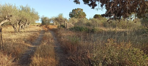  قطعة أرض في Portopalo di Capo Passero, Italy 15500متر مربع رقم 68084 7