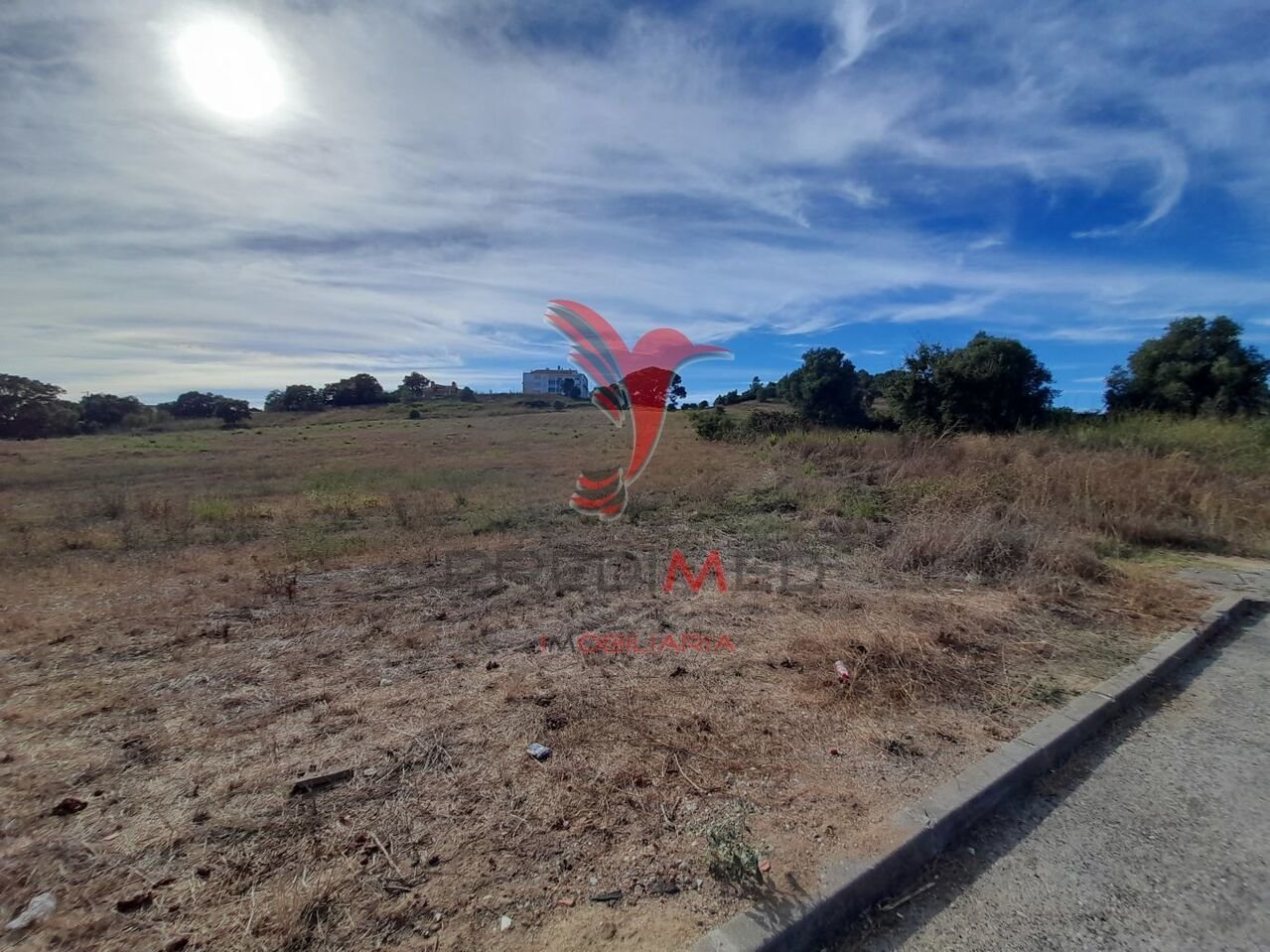 Grundstück in Santarem, Portugal, Nr. 251373