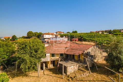 Земельный участок 120м² в Марку ди Канавезиш, Португалия № 247770