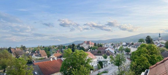 3غرفة شقة في Baden, Austria رقم 203007 7