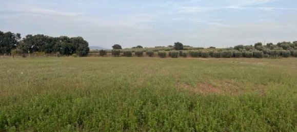 Casa de 3 habitaciónes en Ariccia, Italy No. 19529 16