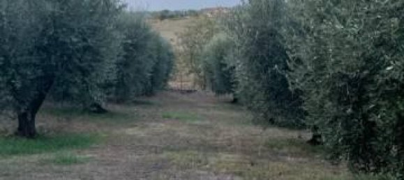 Casa de 3 habitaciónes en Ariccia, Italy No. 19529 24