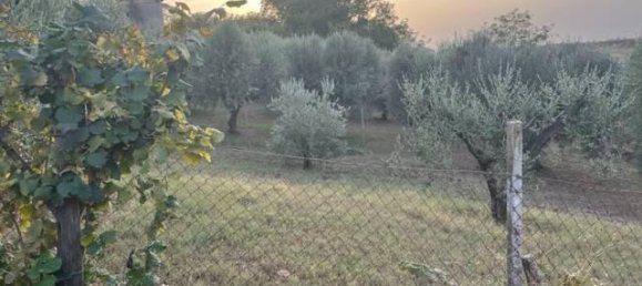 Casa de 3 habitaciónes en Ariccia, Italy No. 19529 18