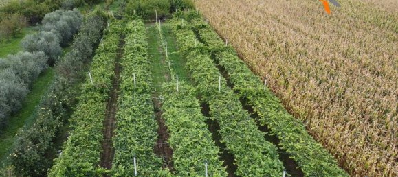 Grundstück in Sommacampagna, Italy 12087m², Nr. 323392 8