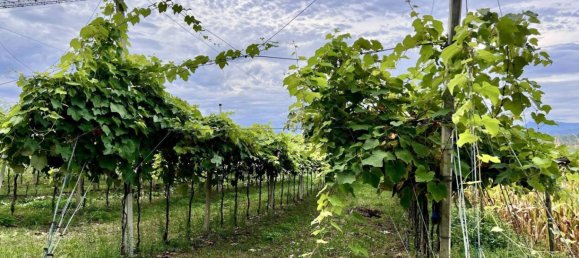 Grundstück in Sommacampagna, Italy 12087m², Nr. 323392 7