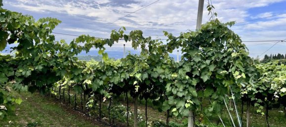 Grundstück in Sommacampagna, Italy 12087m², Nr. 323392 5