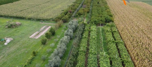 Grundstück in Sommacampagna, Italy 12087m², Nr. 323392 9