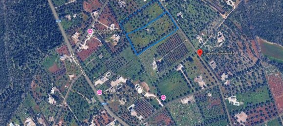 Terrain à Ostuni, Italy 8123m² No. 144499 6