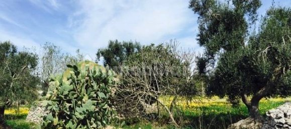 Terrain à Ostuni, Italy 8123m² No. 144499 13