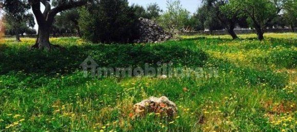 Terrain à Ostuni, Italy 8123m² No. 144499 14