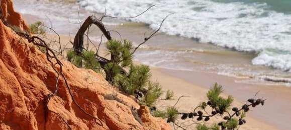 Hôtel à Albufeira, Portugal No. 116687 5