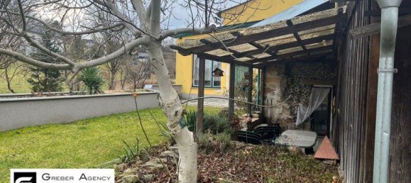 Дом с 10 комнатами в Цветль-Нидерёстеррайх, Австрия № 118623 32