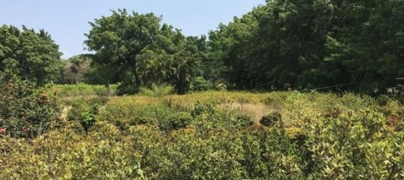 Land in Santa Cruz, Costa Rica No. 1504 2