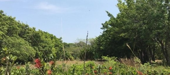 Land in Santa Cruz, Costa Rica No. 1504 5