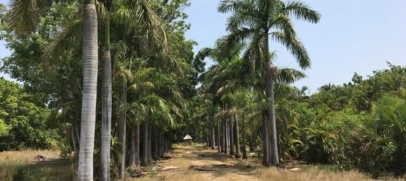 Land in Santa Cruz, Costa Rica No. 1504 6