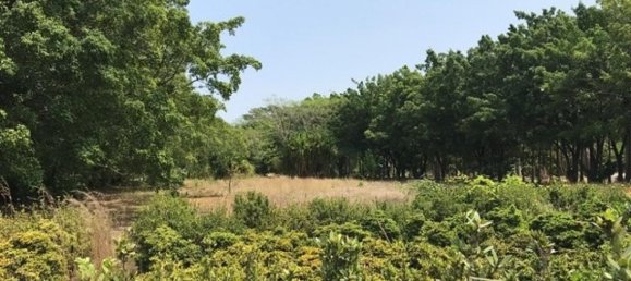 Land in Santa Cruz, Costa Rica No. 1504 3