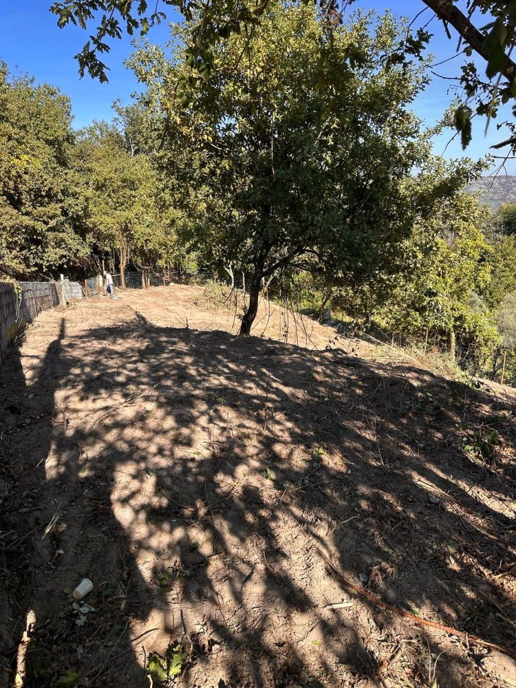 Grundstück in Sao Pedro do Sul, Portugal, Nr. 350299