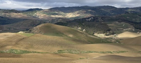 175000m² Land in San Cataldo, Italy No. 85904 5