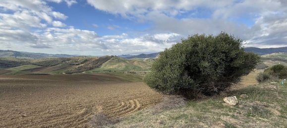 175000m² Land in San Cataldo, Italy No. 85904 8