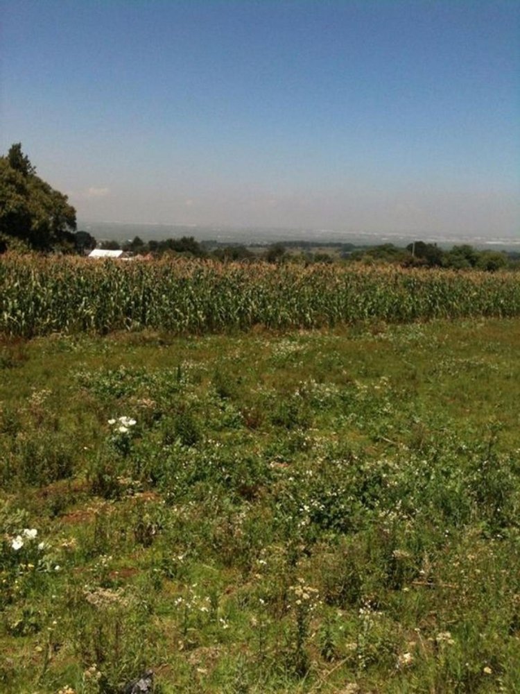  Land in Lerma, Mexico No. 203898