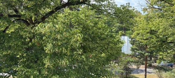 2غرفة شقة في Schmargendorf, Germany رقم 365432 12