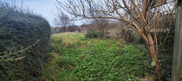 4 bedrooms House in Maine-et-Loire, France No. 342921 16