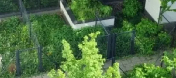 2-Zimmer Wohnung in Rudolfsheim-Funfhaus, Austria, Nr. 209513 11