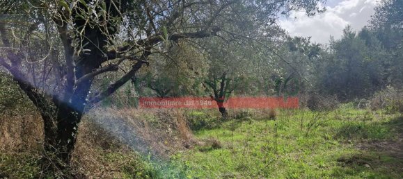 10غرفة منزل في Collesalvetti, Italy رقم 134696 42