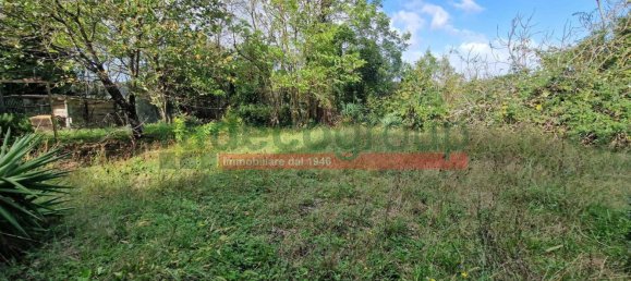 10غرفة منزل في Collesalvetti, Italy رقم 134696 9