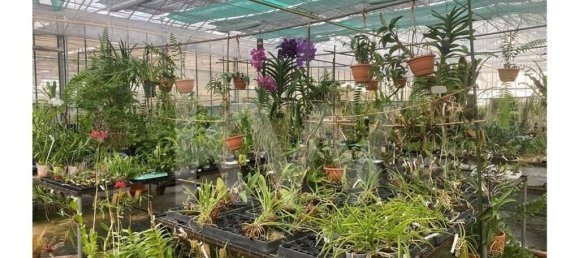 22719m² Land in Lagoa, Portugal No. 61354 41