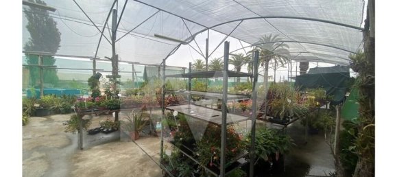 22719m² Land in Lagoa, Portugal No. 61354 15