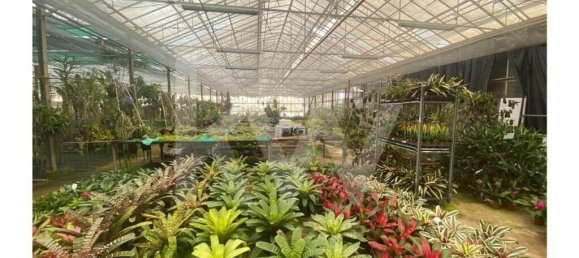 22719m² Land in Lagoa, Portugal No. 61354 37