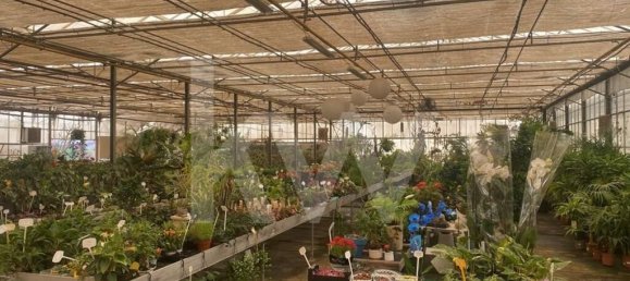 22719m² Land in Lagoa, Portugal No. 61354 26