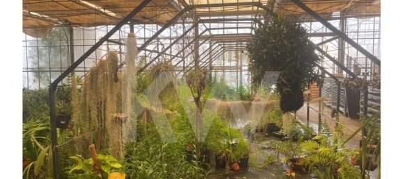 22719m² Land in Lagoa, Portugal No. 61354 30