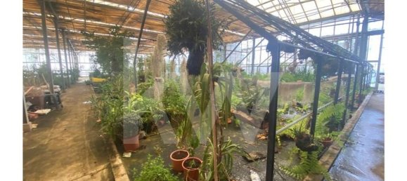 22719m² Land in Lagoa, Portugal No. 61354 29