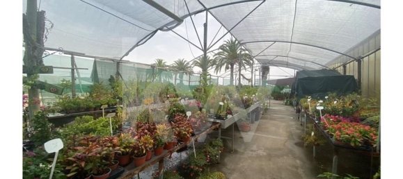 22719m² Land in Lagoa, Portugal No. 61354 16