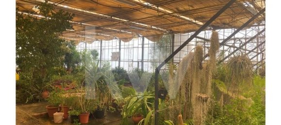 22719m² Land in Lagoa, Portugal No. 61354 31