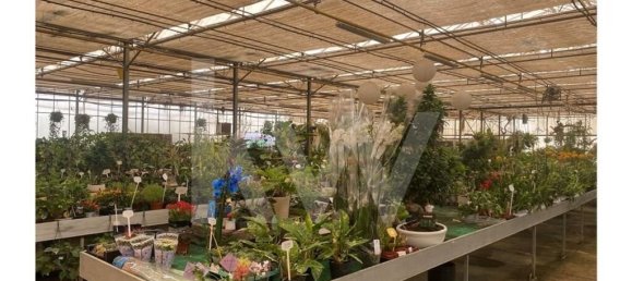 22719m² Land in Lagoa, Portugal No. 61354 46